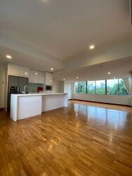 Nassim Regency (D10), Condominium #575629591